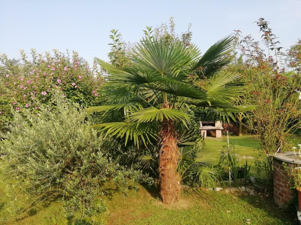 شقة Un Bell Incontro Borgo Ticino المظهر الخارجي الصورة
