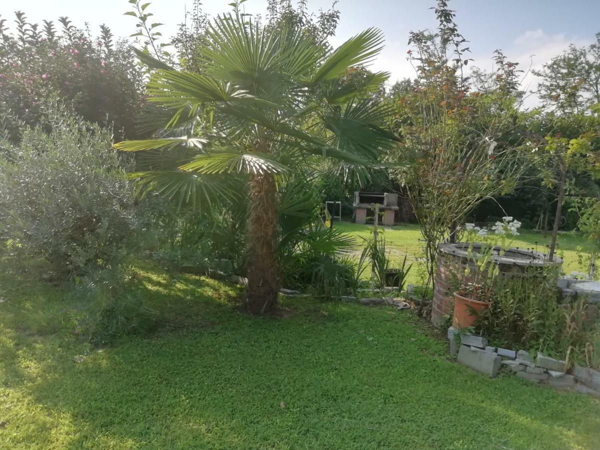 شقة Un Bell Incontro Borgo Ticino المظهر الخارجي الصورة